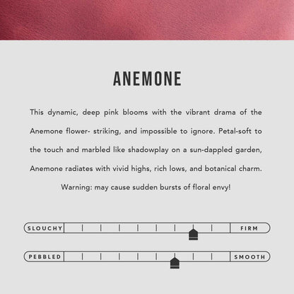 Anemone | infographic