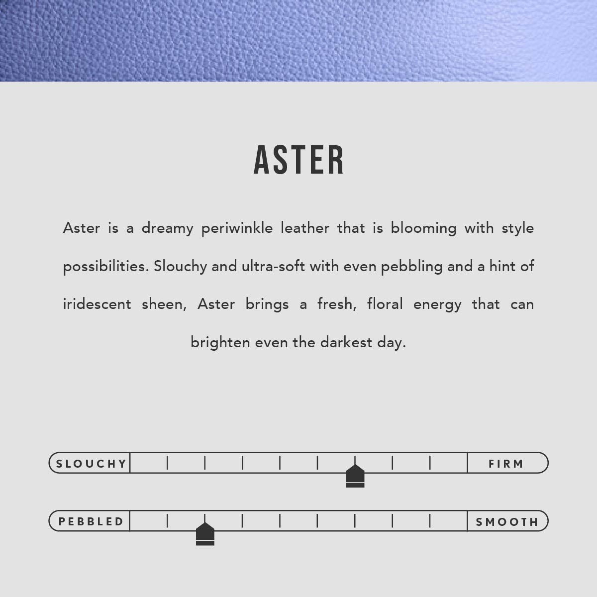 Aster | infographic