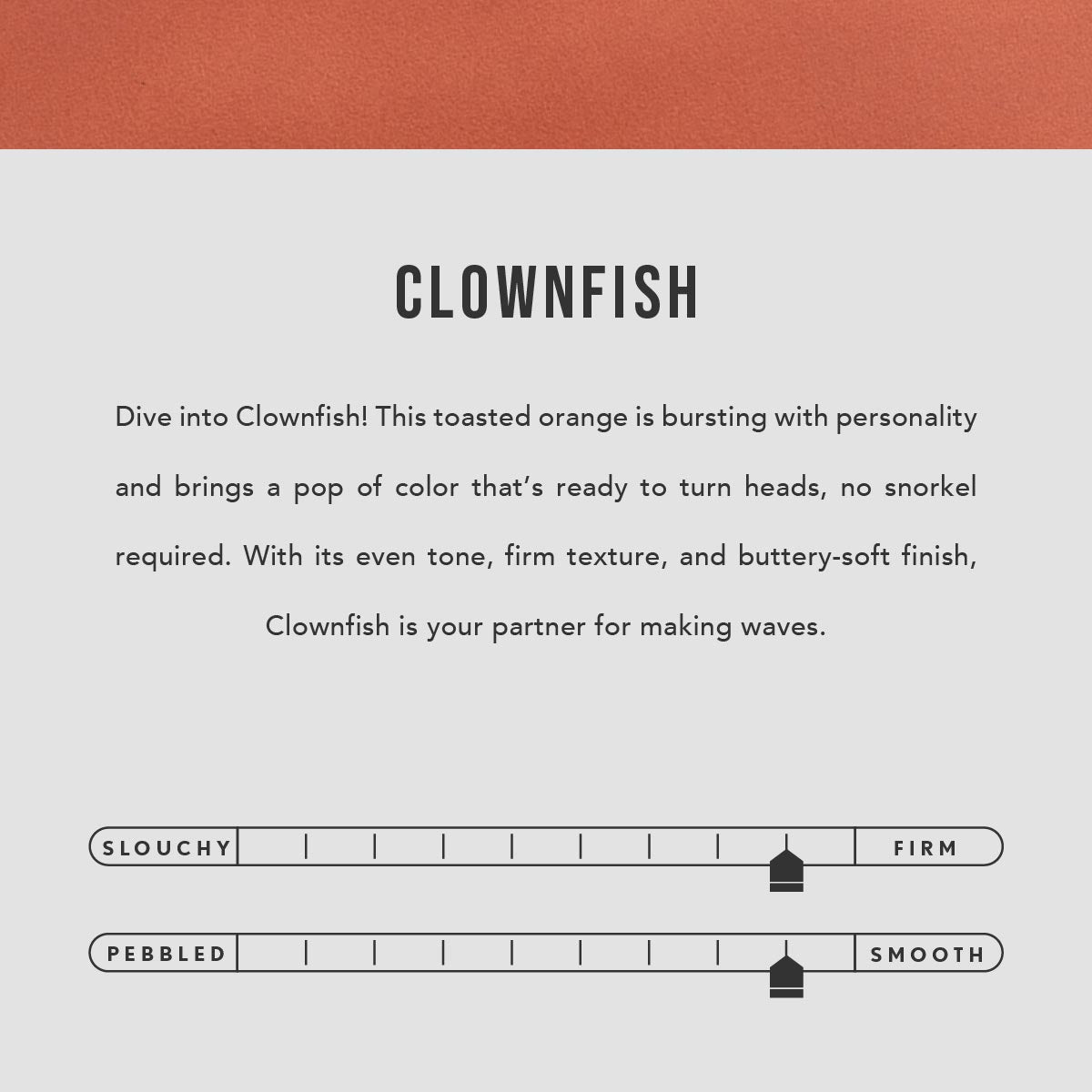 Clownfish | infographic