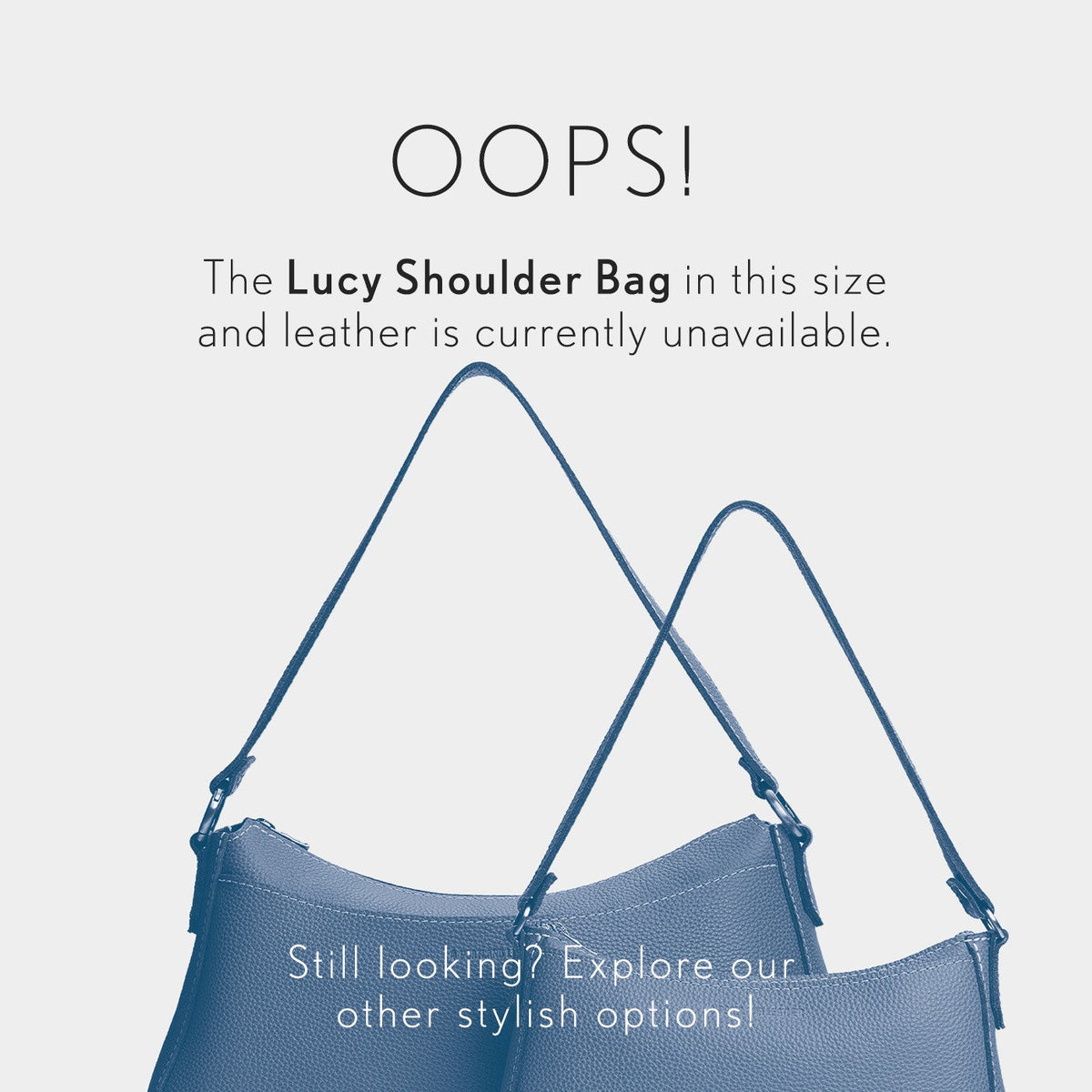 Orchid*Large | OOS infographic